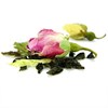 Зеленый чай Роуз Ройс Tea Point, 15 пирамидок - фото 14009